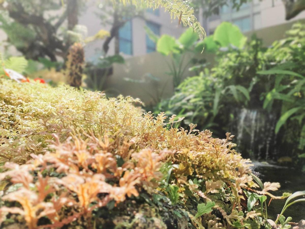 Ana Park Chiang Mai Otel Dış mekan fotoğraf